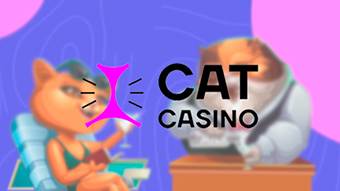 Обзор нового онлайн казино Cat casino на деньги и крптовалюту (Биткоин)